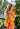 Orange Shiddat Sharara Set- front view