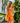 Orange Shiddat Sharara Set- front view