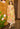 Multi Colour Dhoti Set