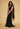 Sushmita Sen Saree