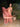 Designer Women's Coral Sukoon Pant Set | Gopi Vaid