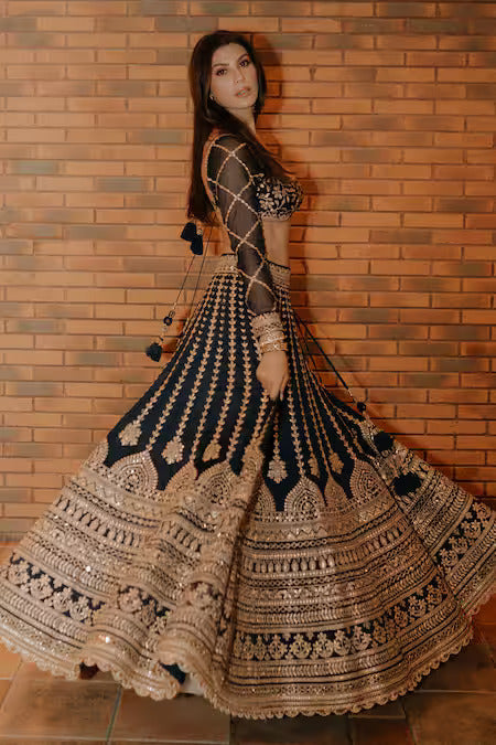 Elnaaz  Lehenga Set