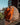 Orange Marigold Brocade Fo With Pallazo- front view