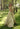 Sahher Bambba In Suroor Lehenga Set