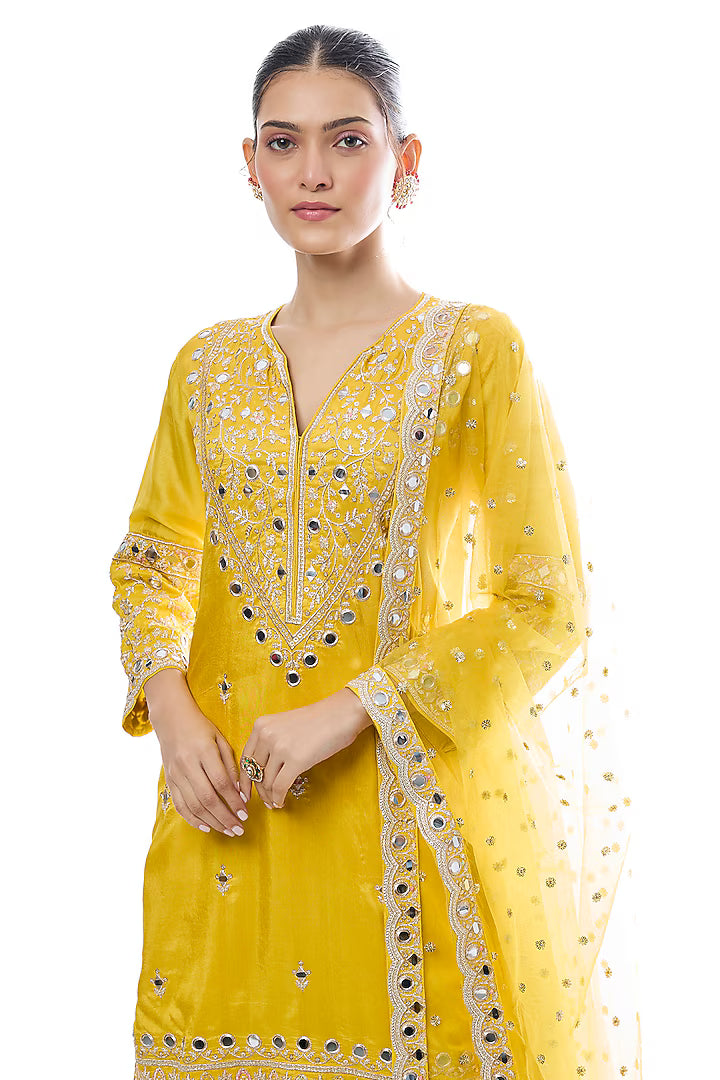 Aadhira Sharara Set