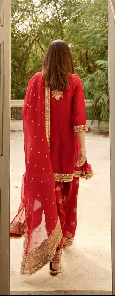 Diana Penty in Misha Farshi Set